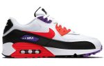 Nike Air Max 90 Essential 'Raptors'