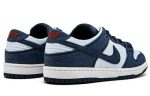 Nike Zoom Dunk Low Pro SB 'Binary Blue'