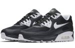 Nike Air Max 90 Essential 'Anthracite'