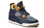 Air Jordan 4 Retro 'Dunk From Above'
