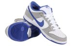 Nike Dunk Low Pro SB 'Matte Silver Varsity Royal'