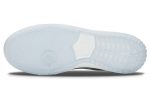 Nike Zoom Dunk Low Pro SB 'Summit White'