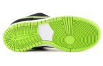 Nike Dunk Low Pro SB 'Neon J-Pack'