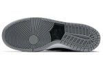 Nike Zoom Dunk Low Pro SB 'Wolf Grey'