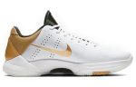 Nike Zoom Kobe 5 Protro 'Big Stage'
