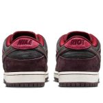 Nike x Riot Skateshop SB Dunk Low 'Mahogany Dark Beetroot' FZ1289-200